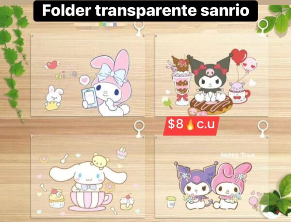 Folder transparente 