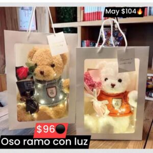 Oso ramo con luz